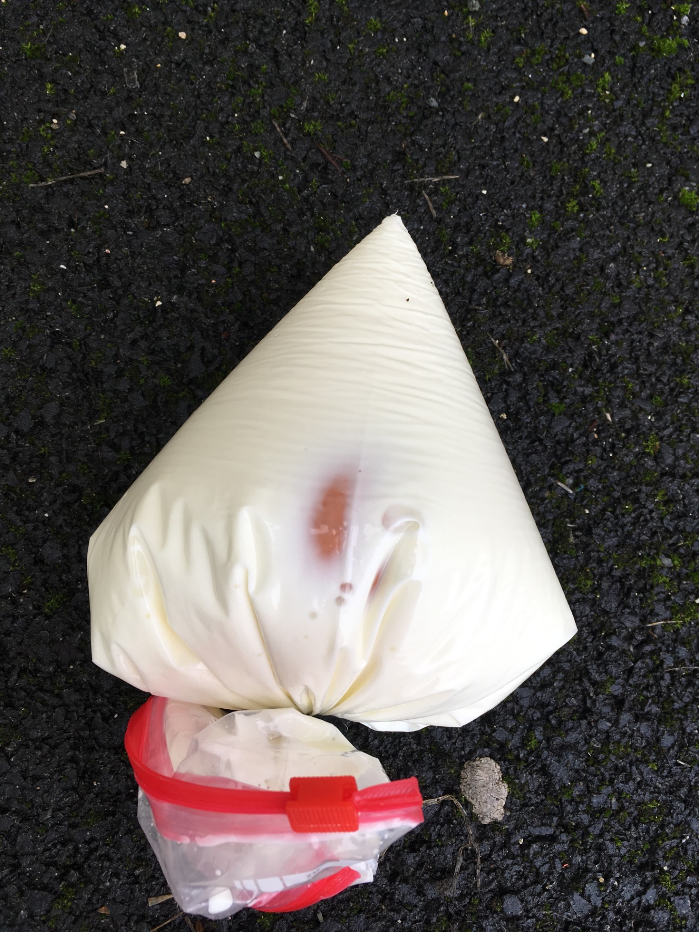 Oeuf dans la poche après expérience